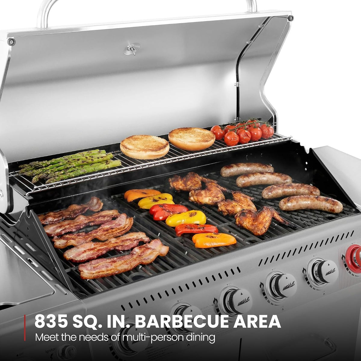 6-Burner Propane Gas Grill